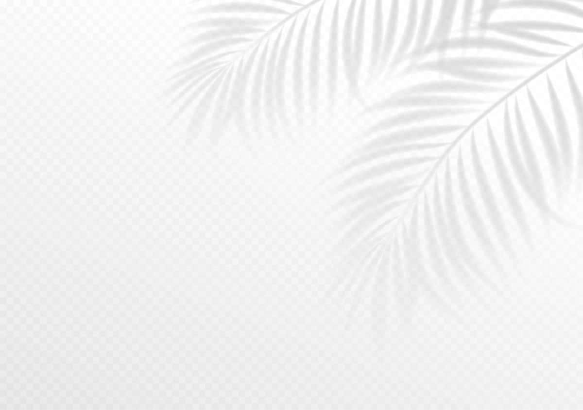 Oq tropik fon rasmi | White tropical wallpaper 1