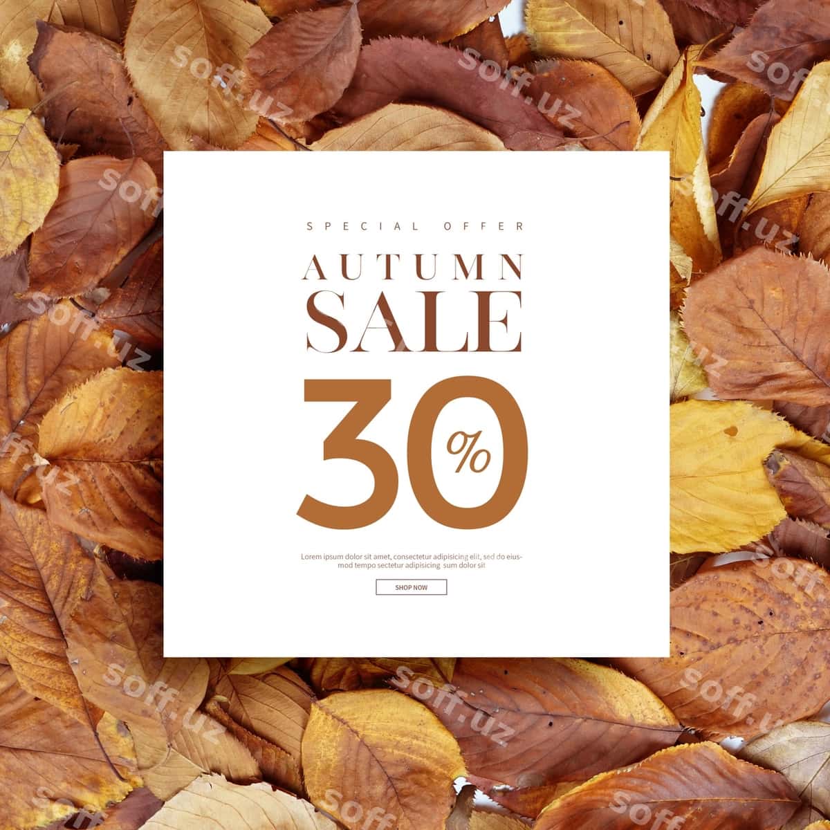 Kuzgi aktsiya baner kartasi | Autumn sale banner card 1