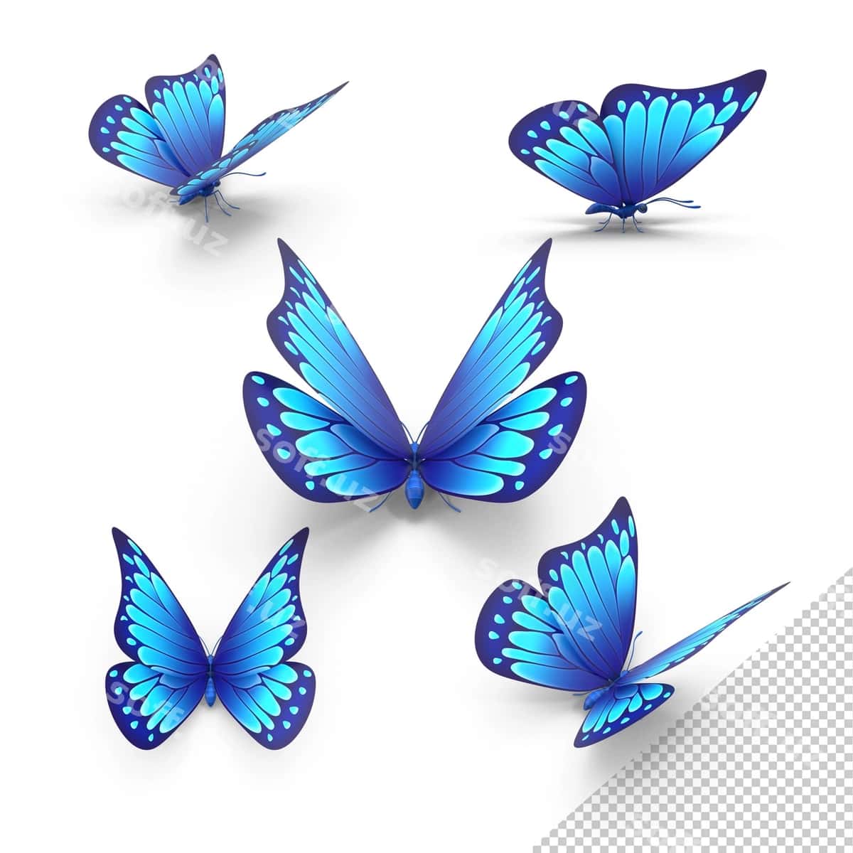 Ko'k parvozlar to'plami | Blue butterfly collection 1