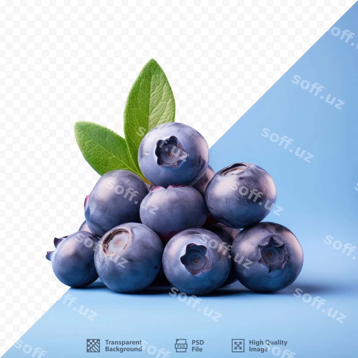 Yashil yaproqli blueberry | Blueberry with green leaf it 1