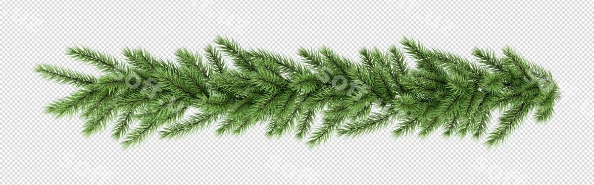 Darma yashil daraxt so'z "u" bilan | Branch green tree with word it 1