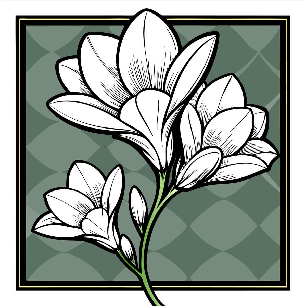 Lola so'zlari bilan gul chizish | Drawing flower with words tulip it 1