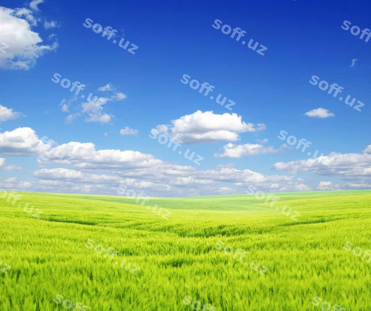 Maydon foni ko'k osmon | Field background blue sky 1