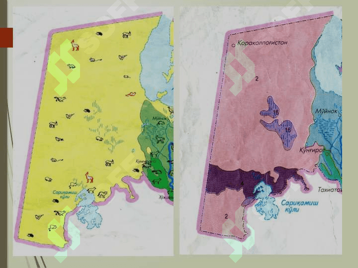 Ustyurt platosining tabiiy geografik va geoekologik sharoiti 6
