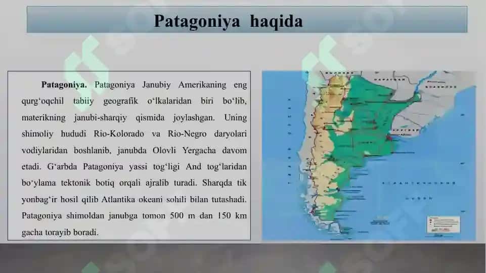 Patagoniya 2