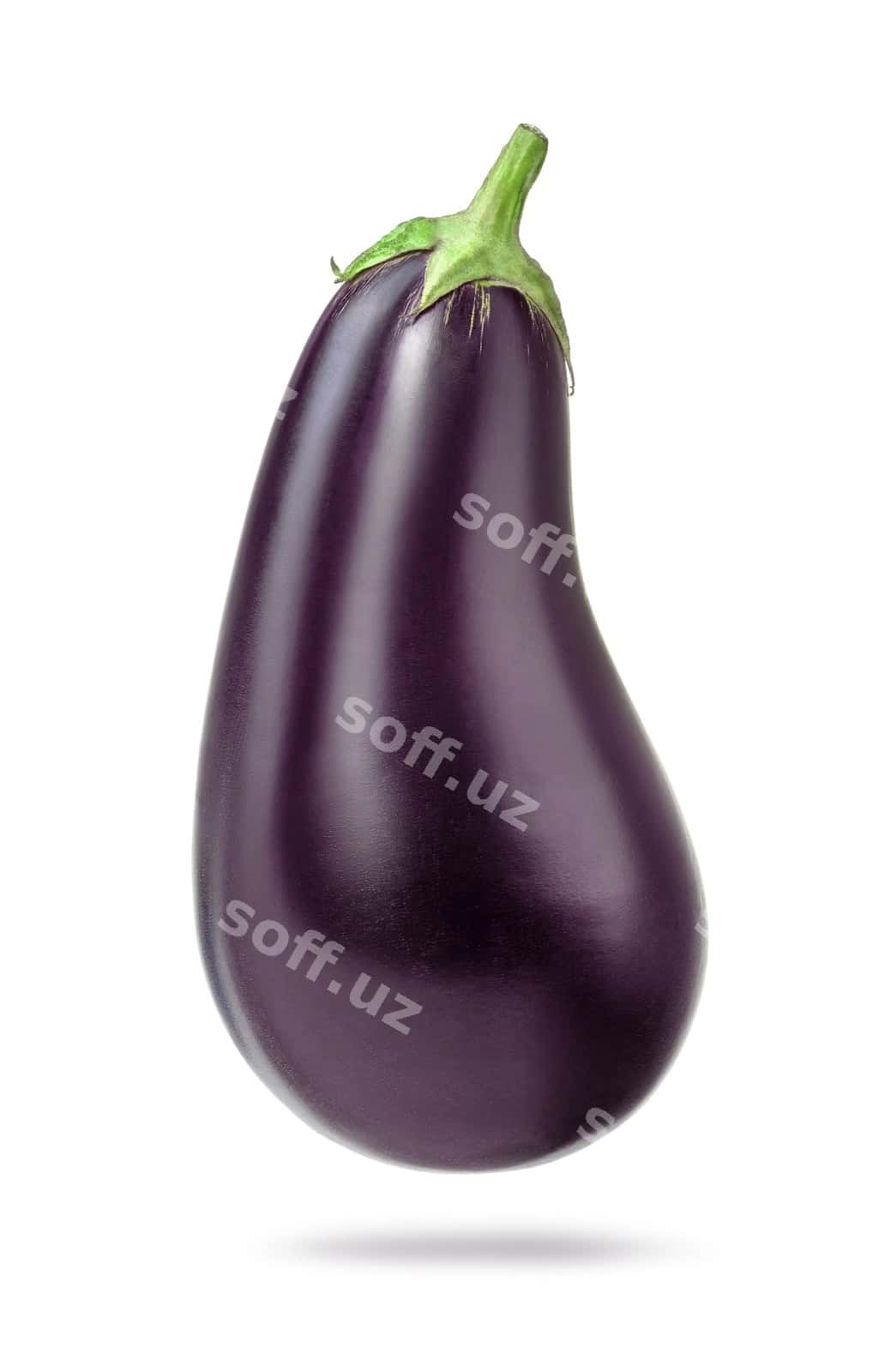 Yangi hovo baqaliy | Fresh raw eggplant 1