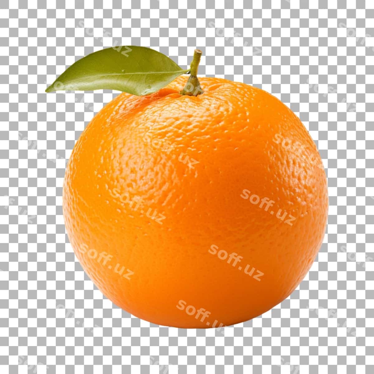 Apelsin shaffof orqa fon | Orange transparent background 1
