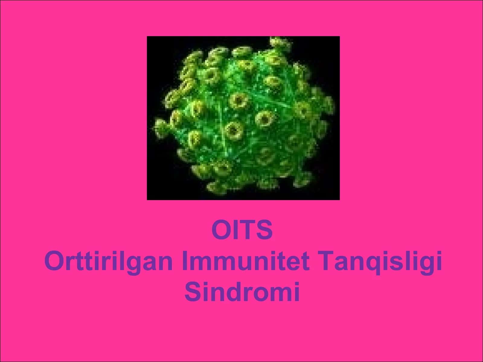 OITS 1