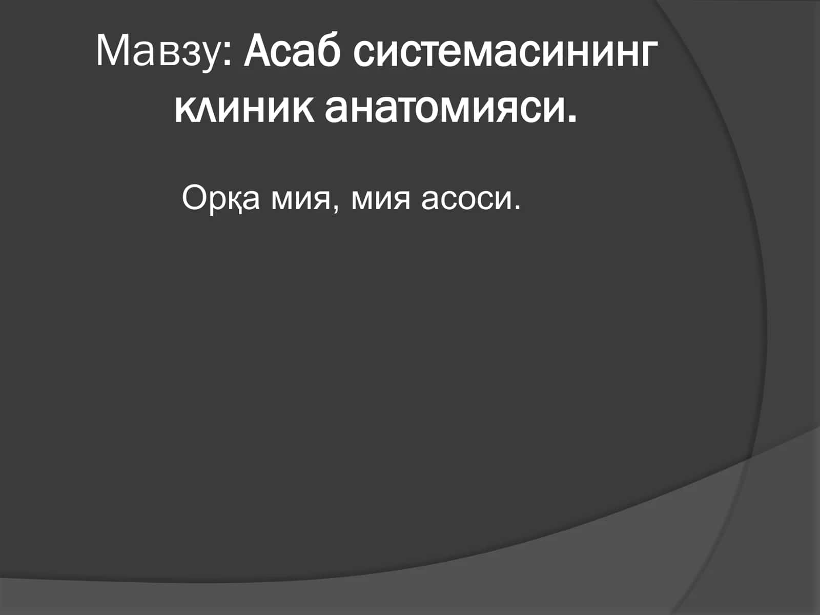 Orqa miya, miya asoslari 1
