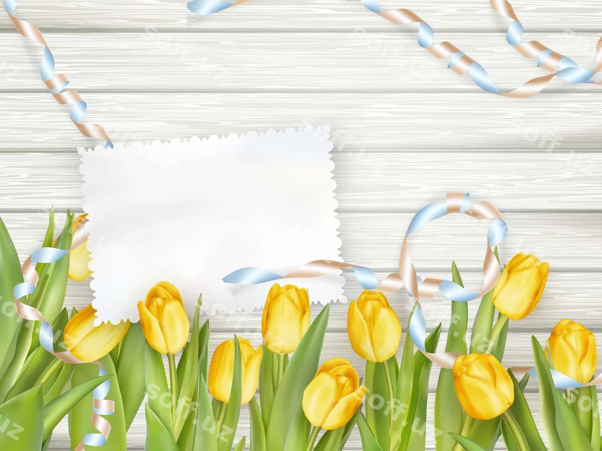 Qog'oz kartochka lolalar bilan | Paper card with tulips 1