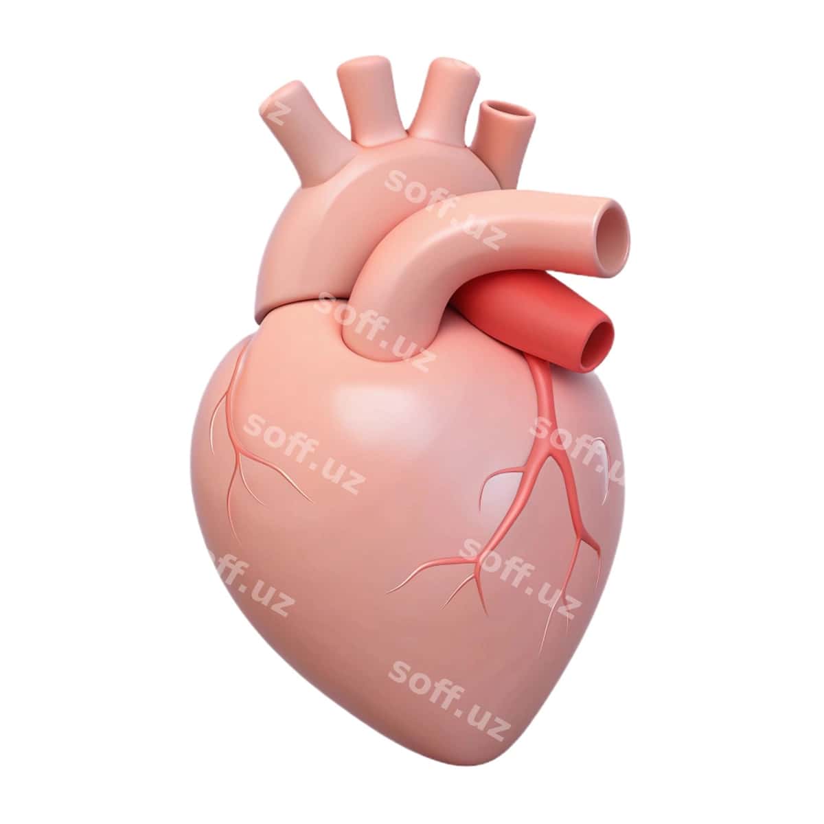 Binafsha qalb qizil qalb bilan qizil qalb | Pink heart with red heart red heart 1