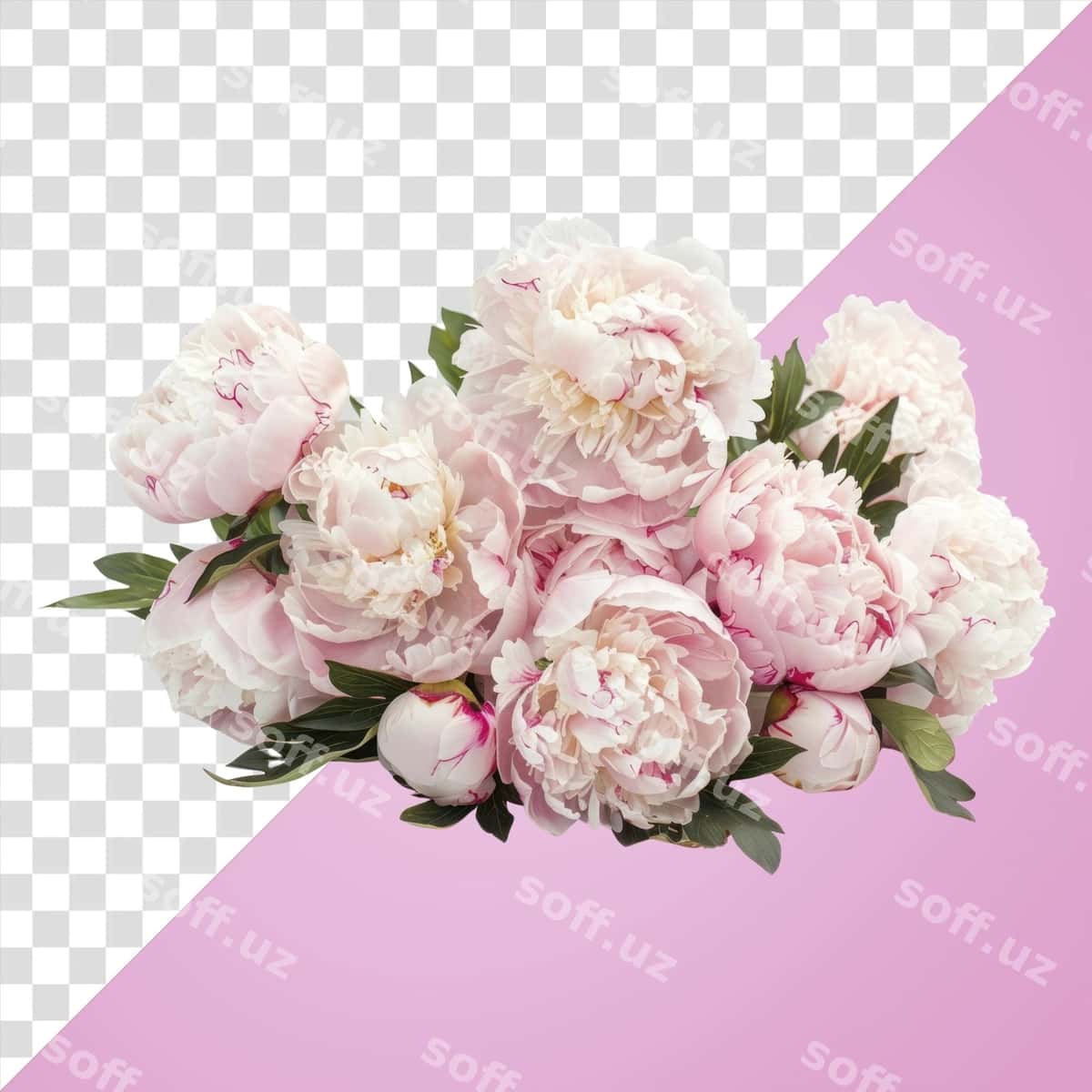 Png buket pion gullash gul o'simlik | Png bouquet peony blossom flower plant 1