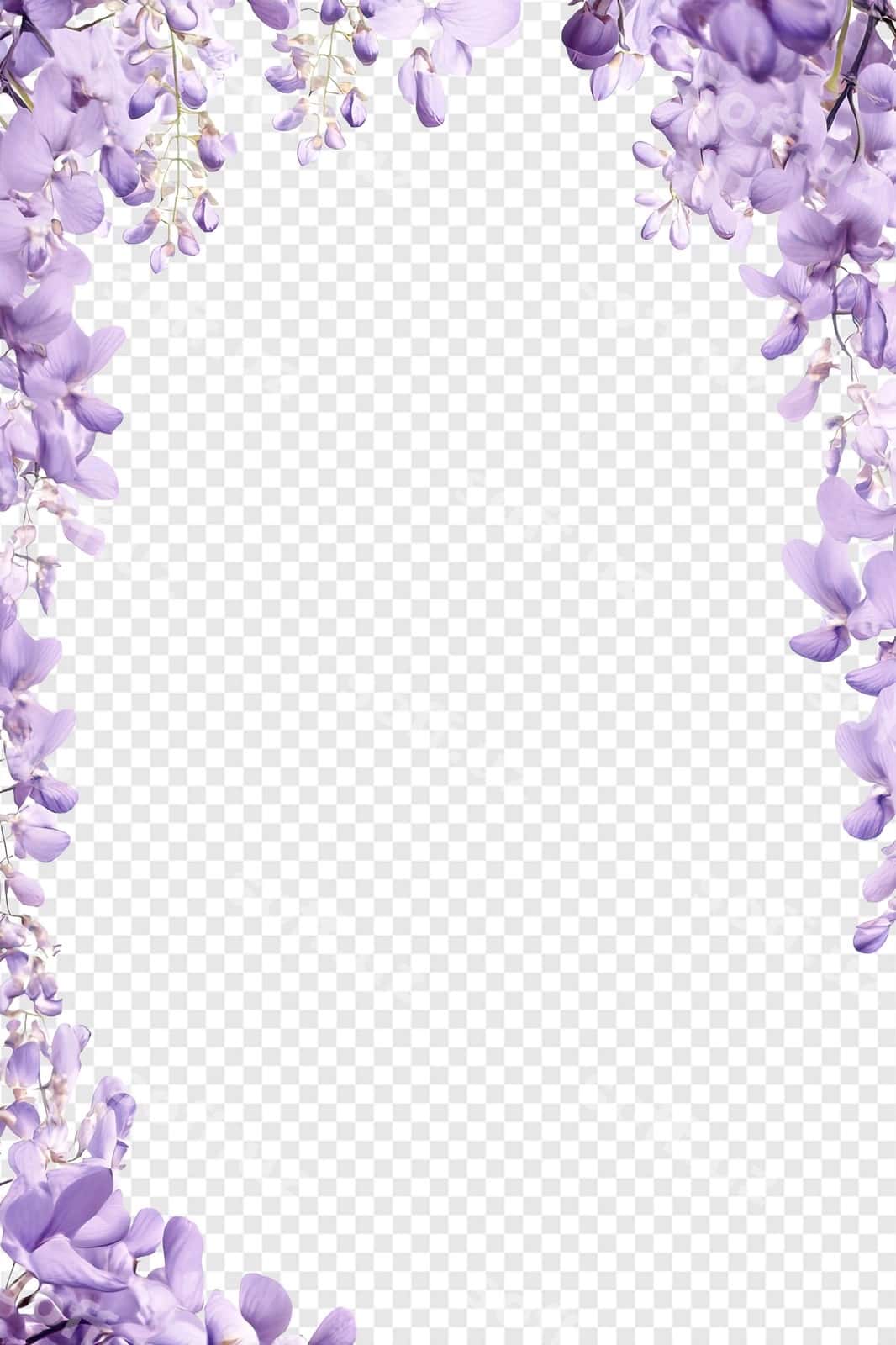 Binafsha gullar shaffof orqa fonda | Purple flowers transparent background 1