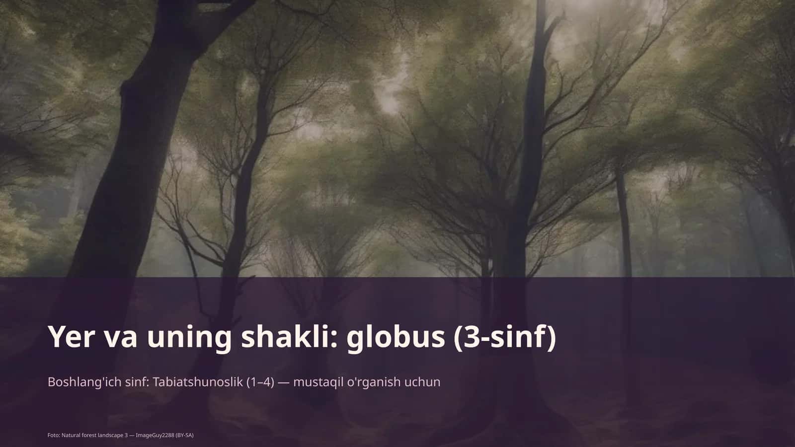 Globus (3-sinf) 1