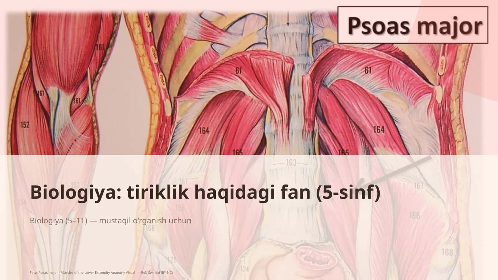 Biologiya: tiriklik haqidagi fan (5-sinf) 1