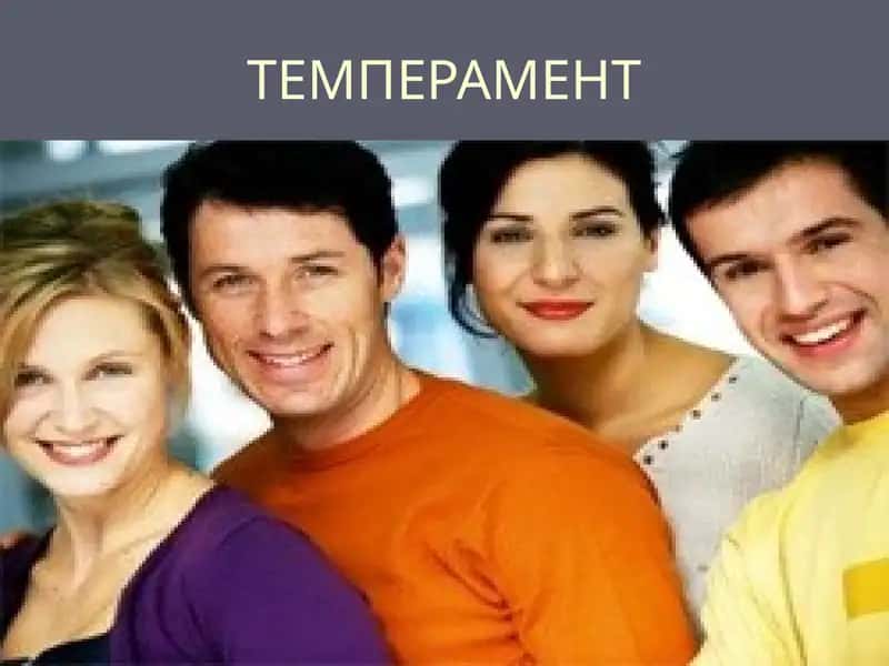 Темперамент 1