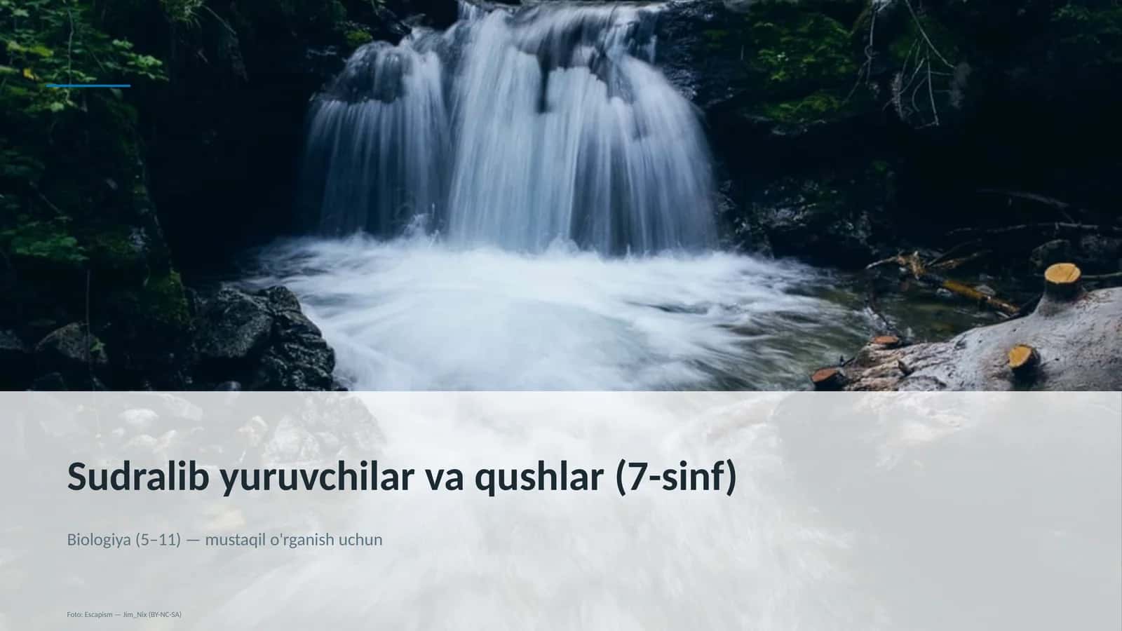 Sudralib yuruvchilar va qushlar (7-sinf) 1