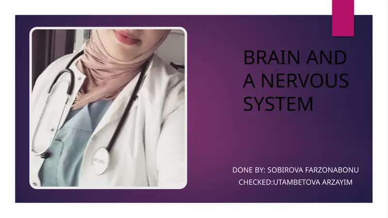 Brain and Nervous System 1