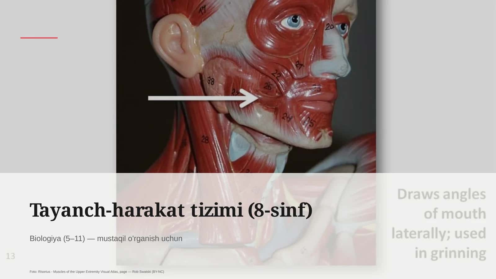 Biologiya (5–11) — mustaqil o'rganish 1