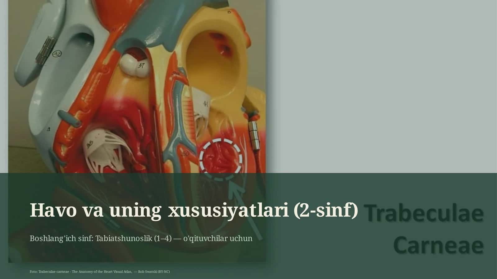 Havo va uning xususiyatlari (2-sinf) 1