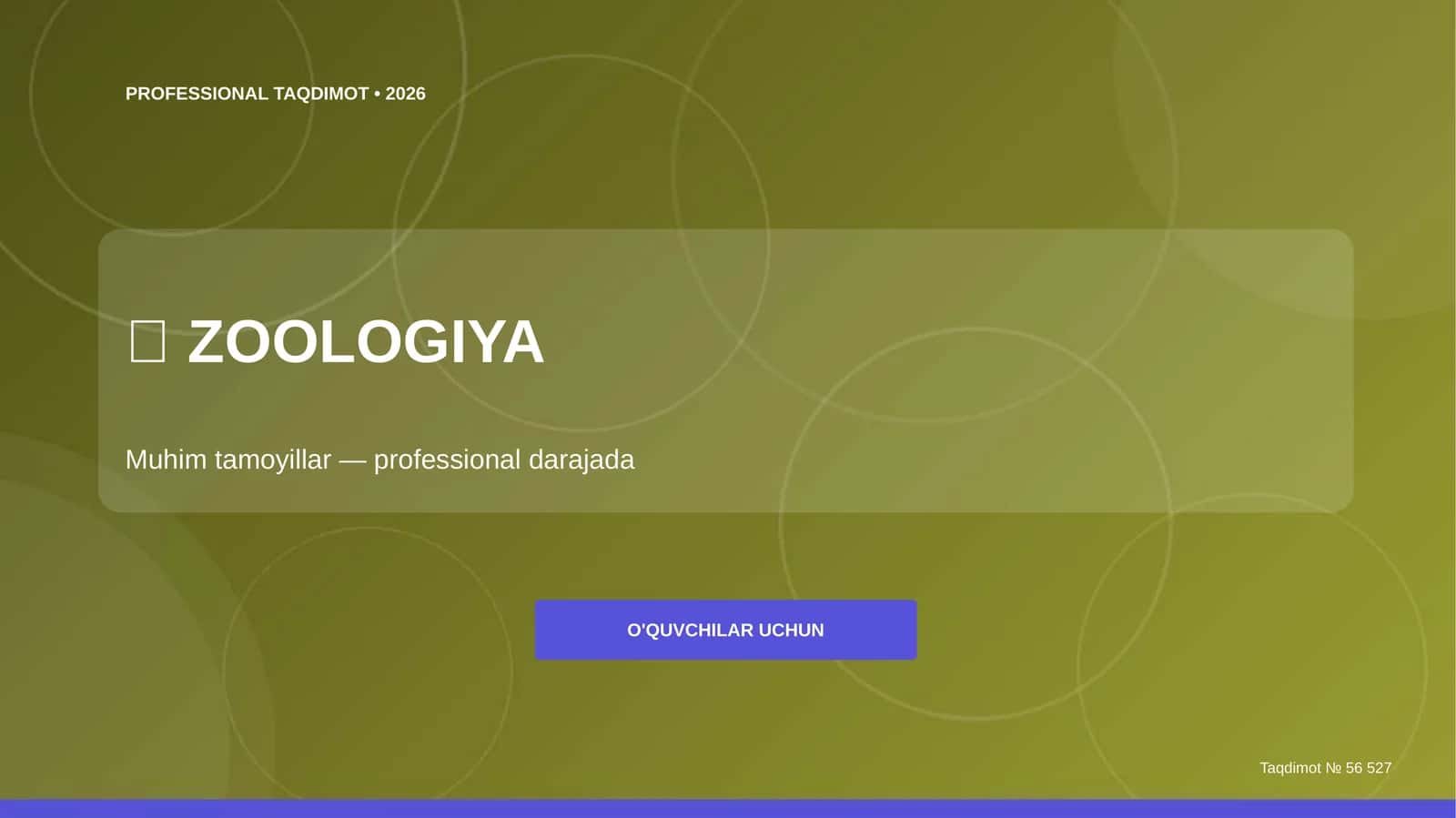 PROFESSIONAL TAQDIMOT • 2026 1