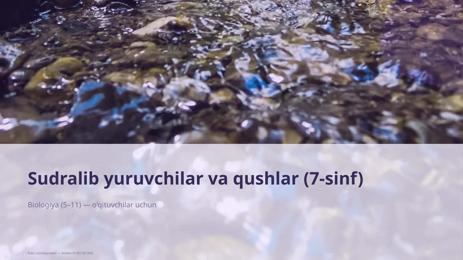 Sudralib yuruvchilar va qushlar (7-sinf) 1