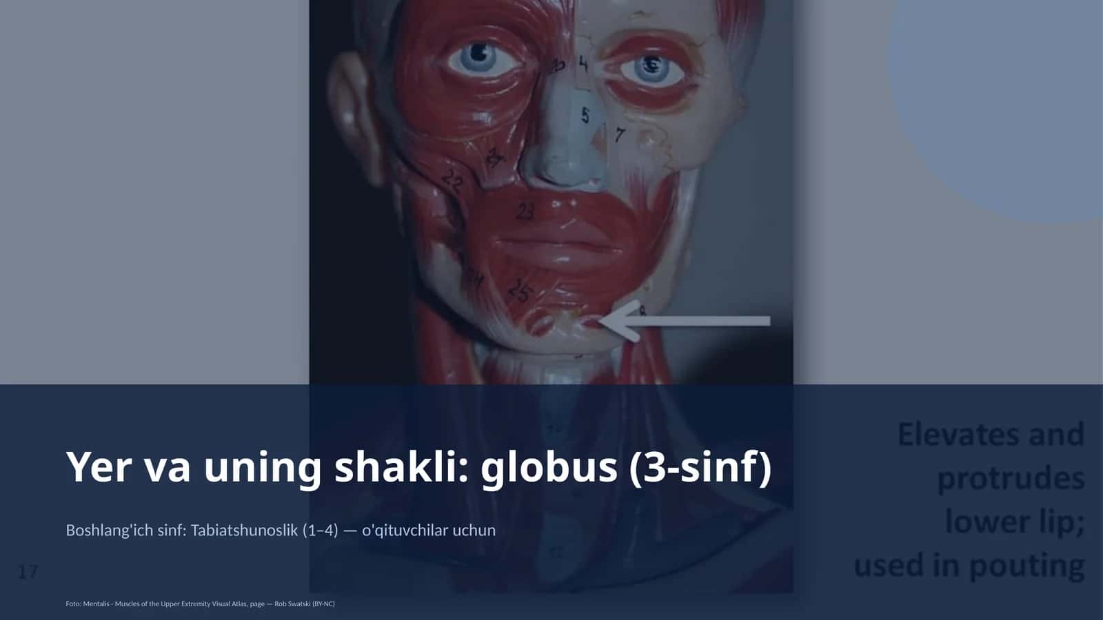 Globus (3-sinf) 1