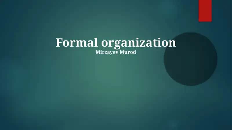 Formal organization 1
