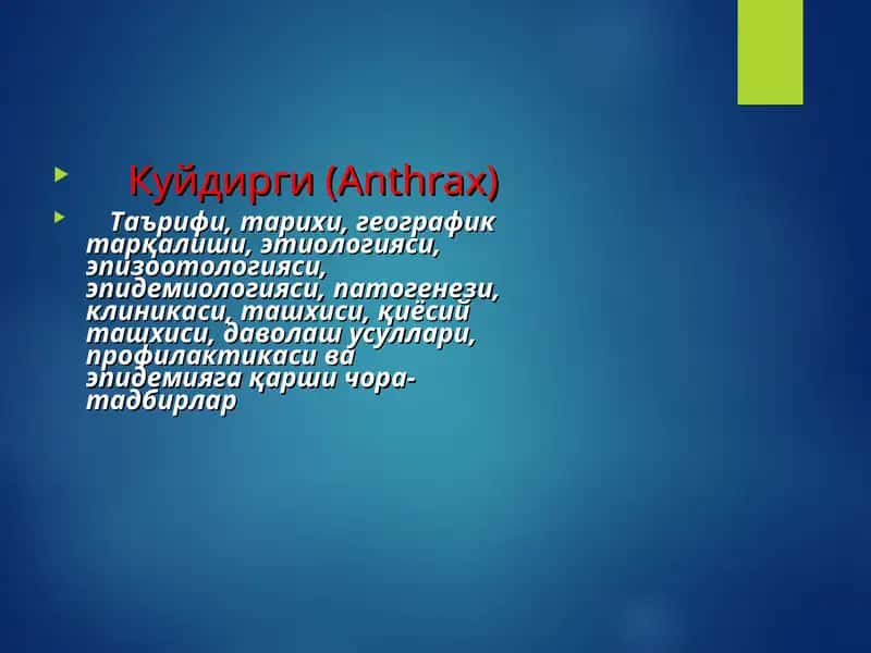 Куйдирги(Anthrax)  KUYDIRGI 1