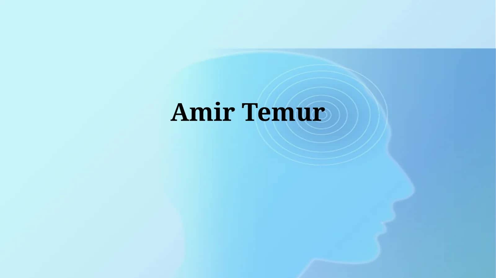 Amir Temur 1