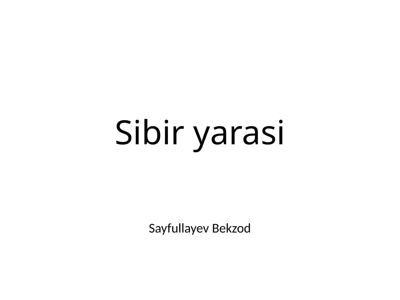 Sibir yarasi 1