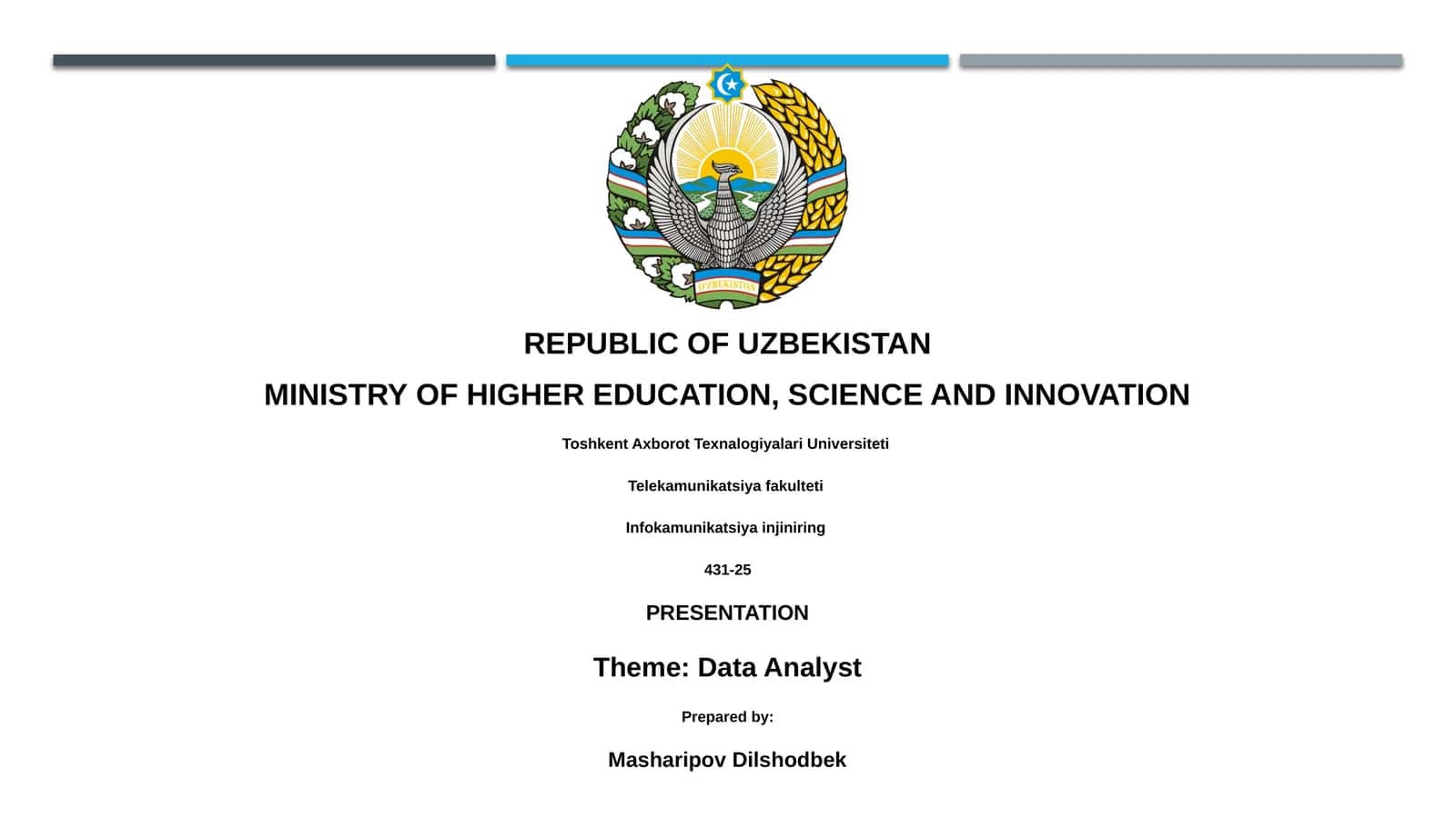Data Analyst 1