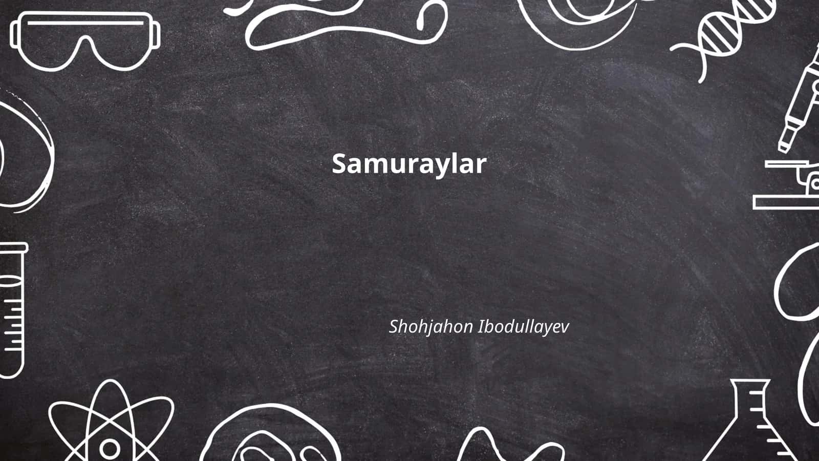 Samuraylar 1