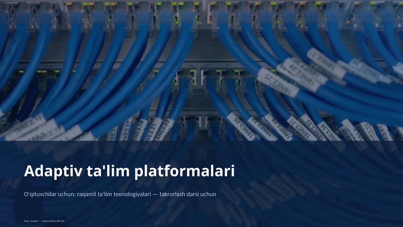 Adaptiv ta'lim platformalari 1