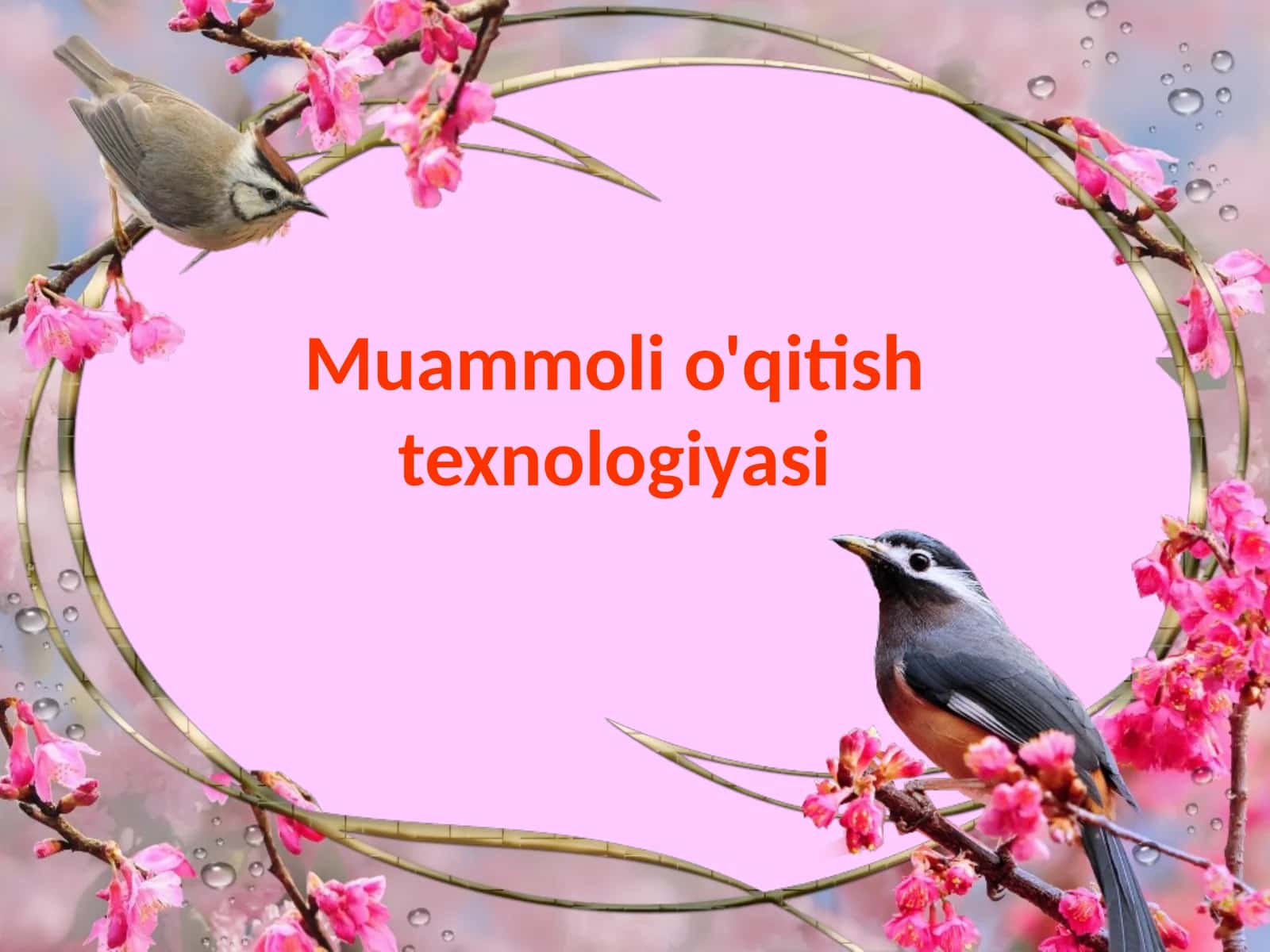 Muammoli o'qitish texnologiyasi 1