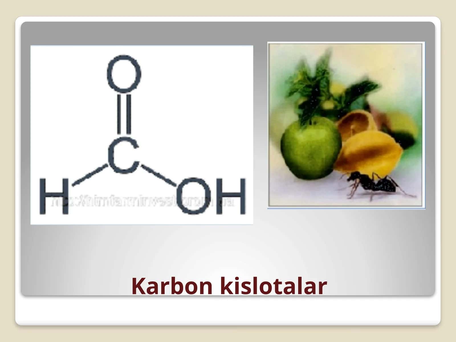 Karbonkislotalar 1
