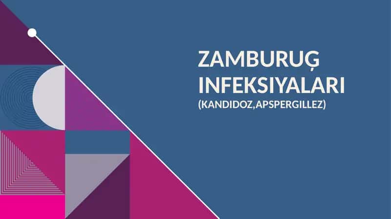 Kandidoz 1