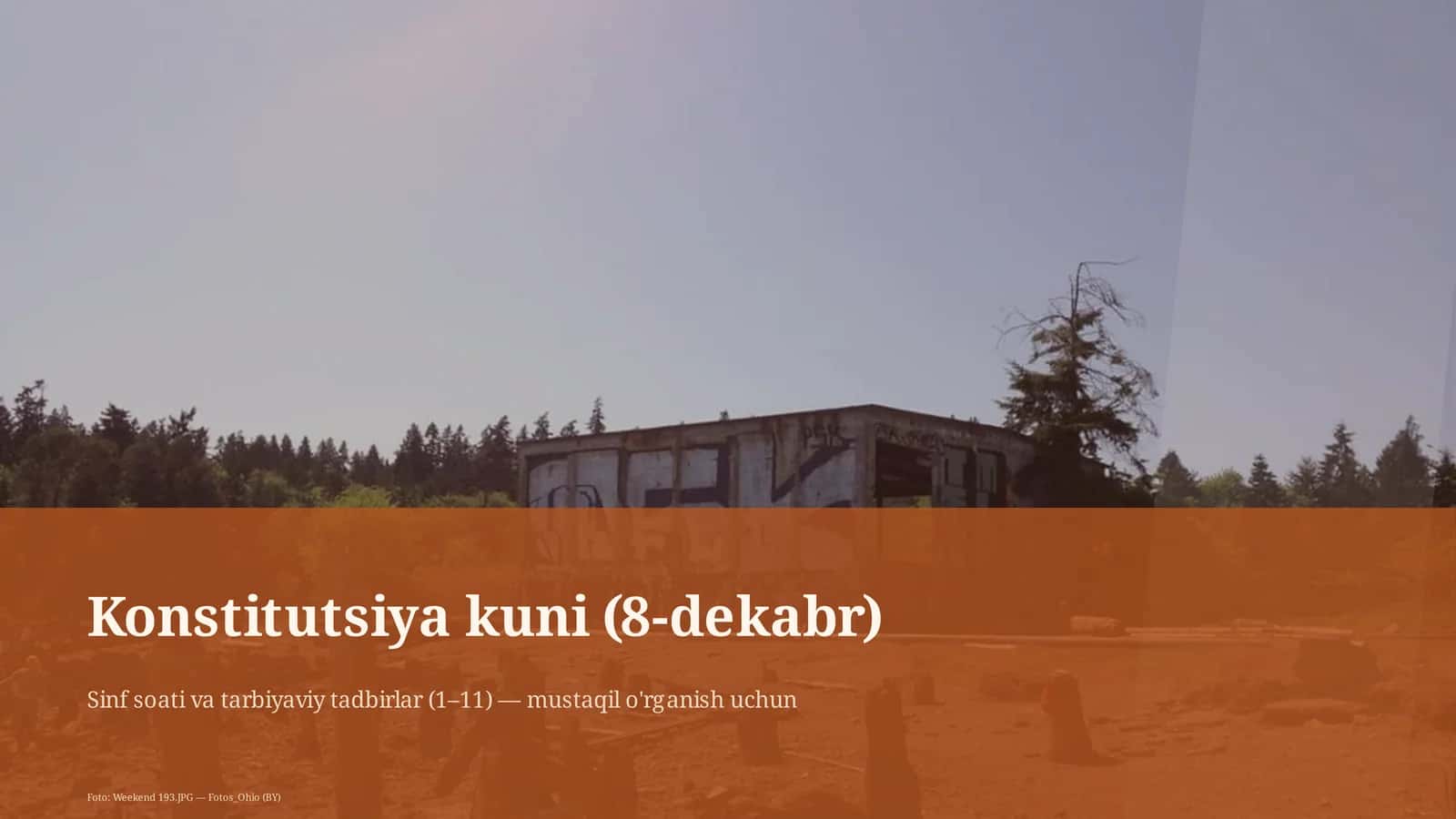 Konstitutsiya kuni (8-dekabr) 1