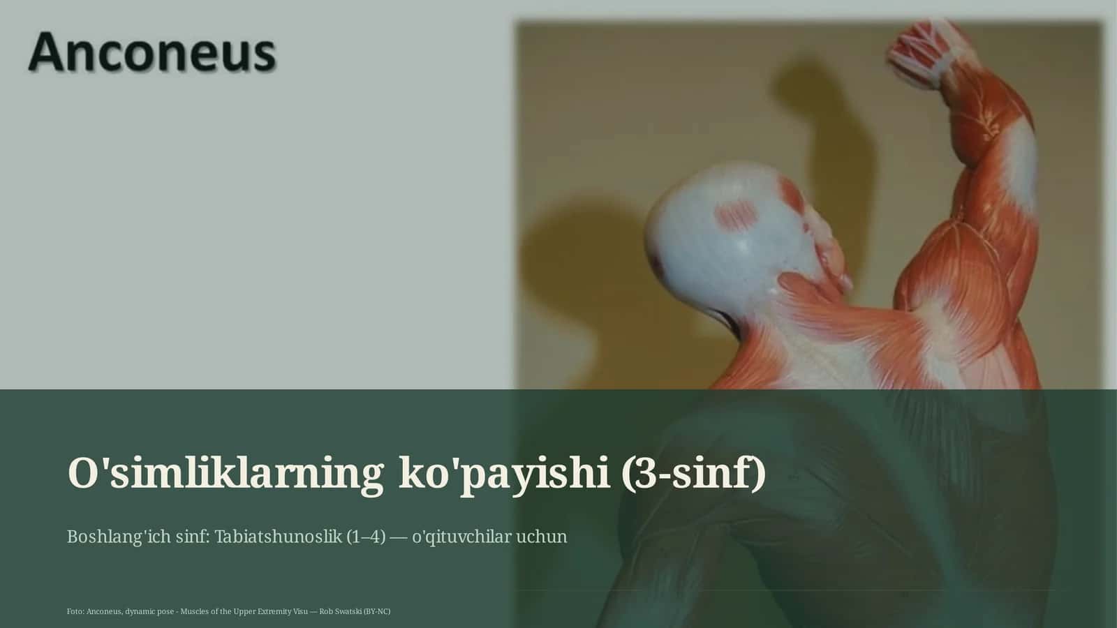 O'simliklarning ko'payishi (3-sinf) 1