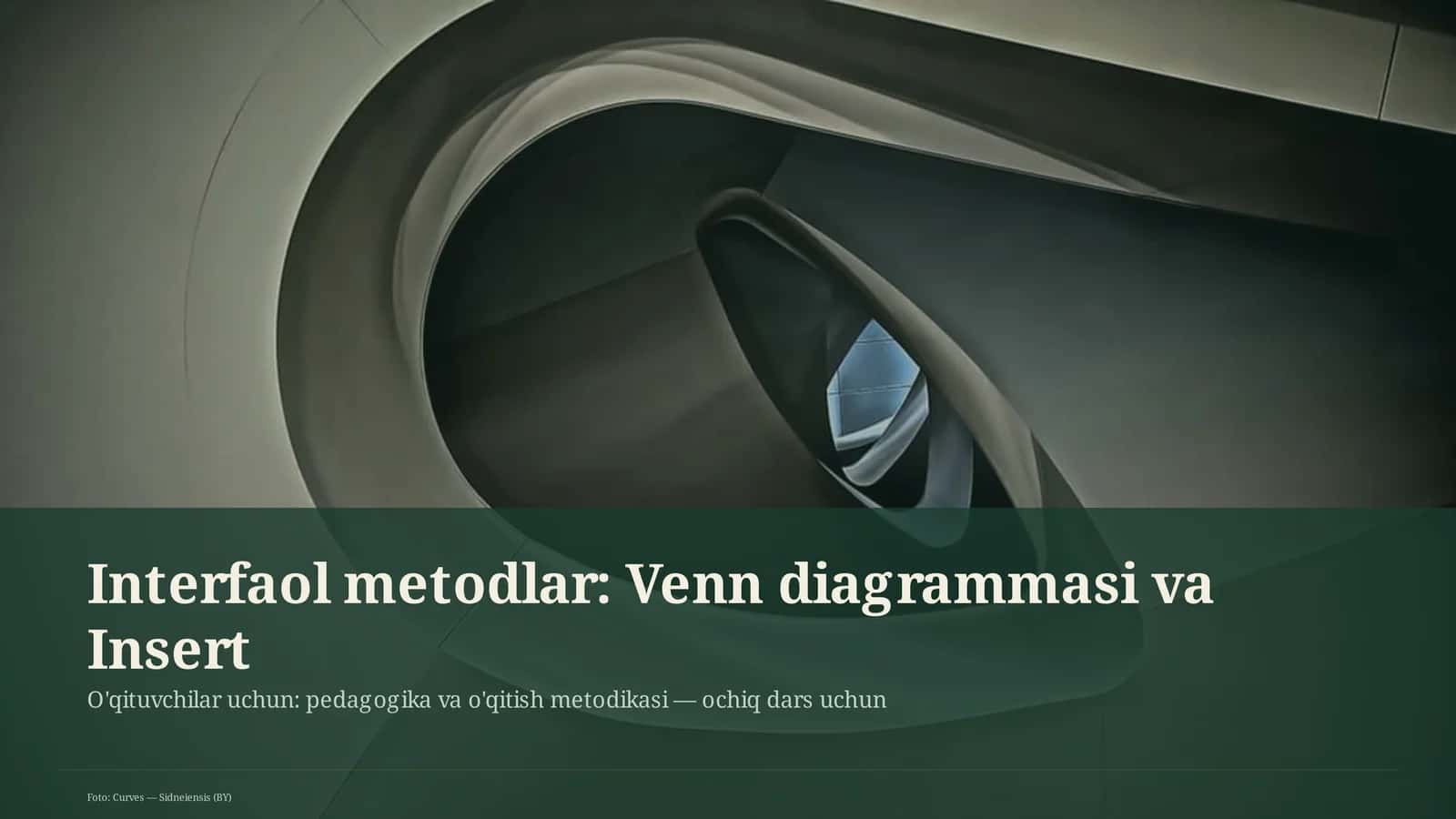 Interfaol metodlar: Venn diagrammasi va Insert 1