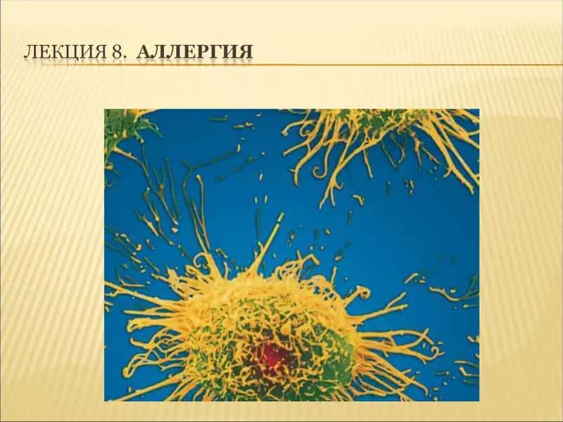 Allergiya 1