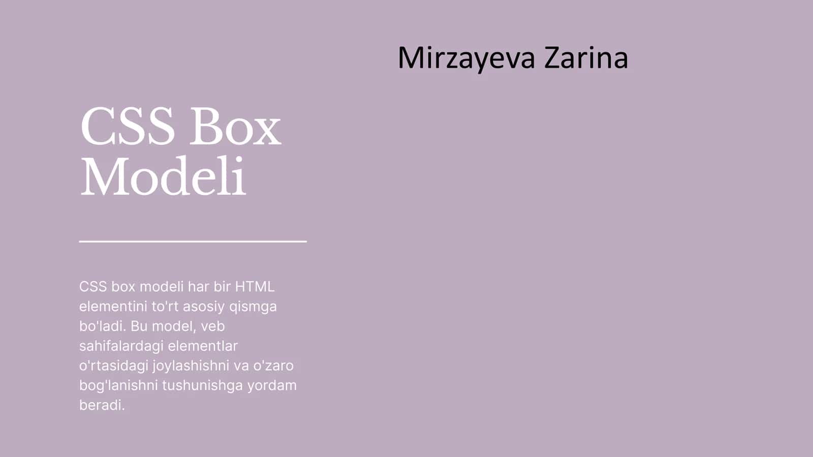 CSS Box Modeli 1