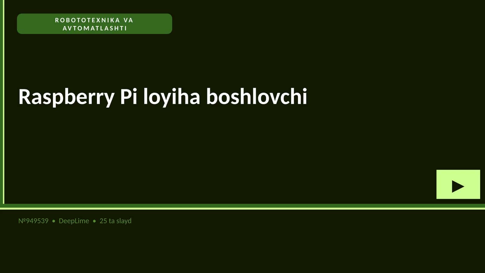 Raspberry Pi loyiha boshlovchi 1