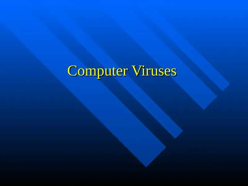 Computer Viruses 1