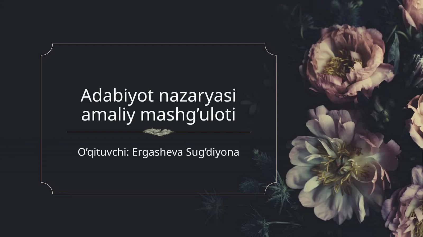 Adabiyot nazariyasi amaliy mashg'uloti 1