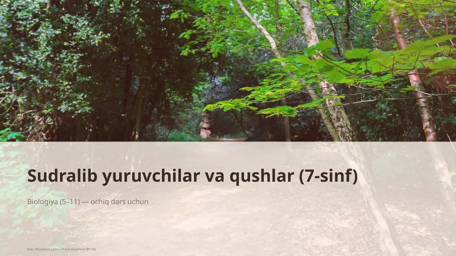 Sudralib yuruvchilar va qushlar (7-sinf) 1