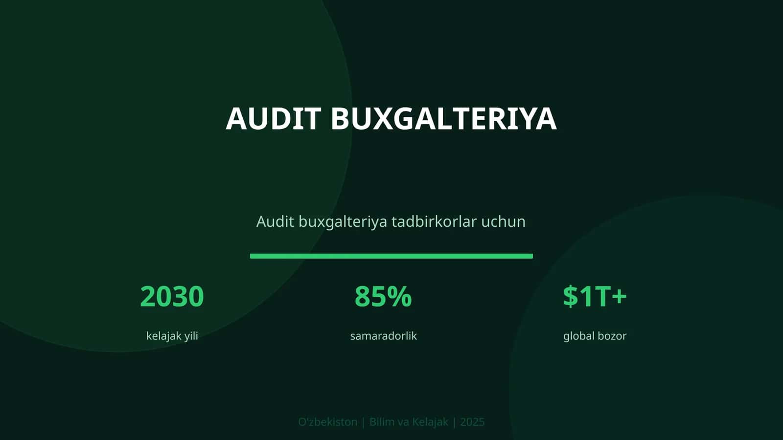 Audit Buxgalteriya 1