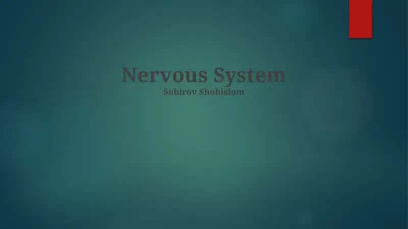 Nervous System 1