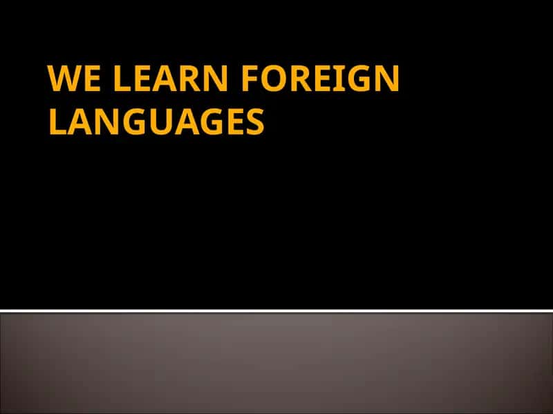 WE LEARN FOREIGN LANGUAGES 1
