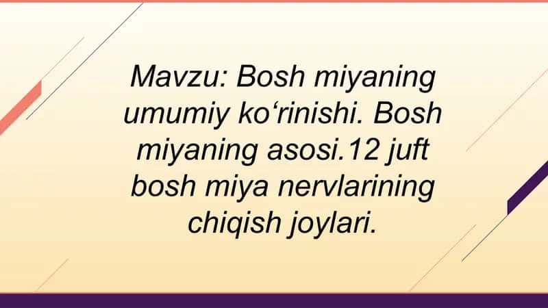 Bosh miya / Ensefalon 1
